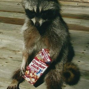 Meet your Posher, Clark